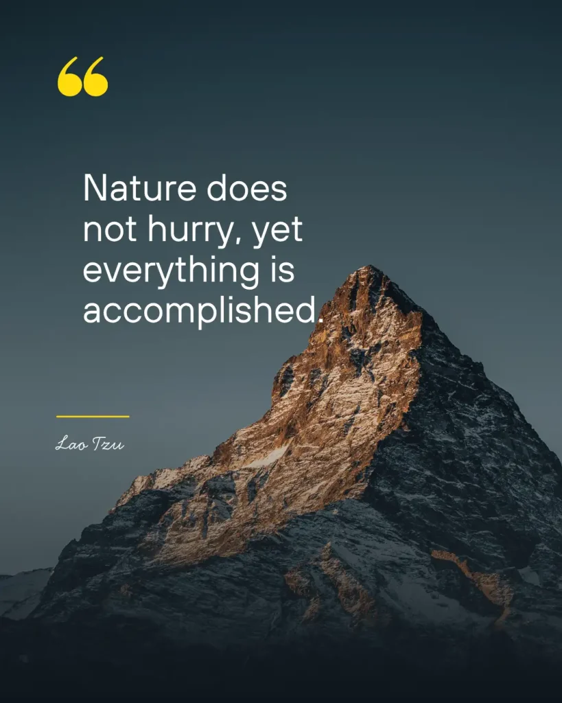 instagram post Designs